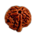 Gemstone Rudraksha